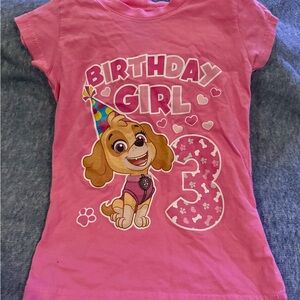 4T Paw Patrol Skye Pink Birthday Girl T-Shirt